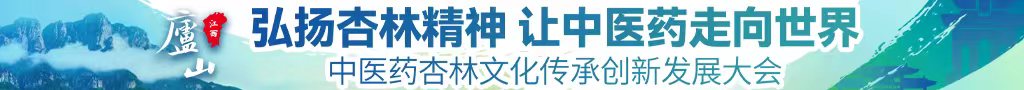 使劲操逼中医药杏林文化传承创新发展大会